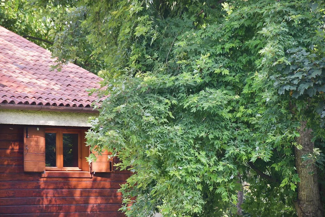 Villa Di Design Con Grande Parco Treviso Italy